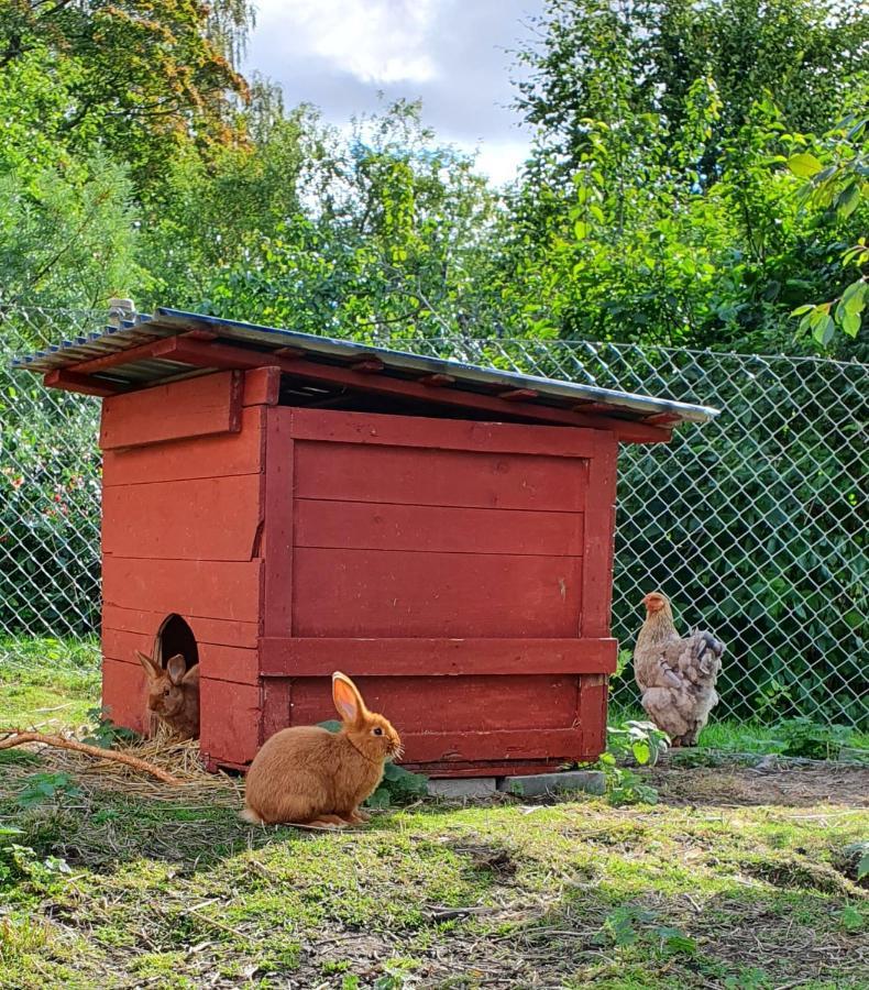 Gramersgarden Soderala Exteriér fotografie